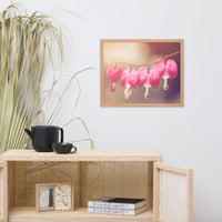 Be Still My Bleeding Heart Warm Summer Glow Floral Nature Photo Framed Wall Art Print