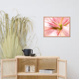 Center of the Stargazer Lily Floral Nature Photo Framed Wall Art Print