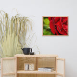 Bold and Beautiful Floral Nature Photo Framed Wall Art Print