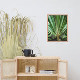 Aged and Colorized Wide Palm Leaves 2 Tropical Nature Photo Wall Art Print