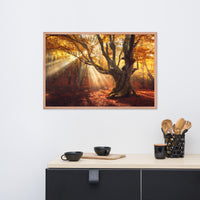 Old Magical Tree in Forest with Glory Rays Framed Wall Art Print