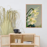Colorized Daffodils Floral Nature Photo Framed Wall Art Print