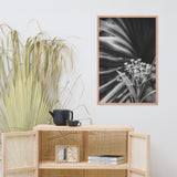 Bloodflowers and Palm Black and White Framed Wall Art Print