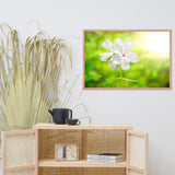 Beauty of the Forest Floor Floral Nature Photo Framed Wall Art Print