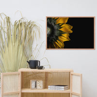 Backside of Sunflower Minimal Floral Nature Photo Framed Wall Art Print