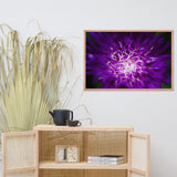 Abstract Flower Floral Nature Photo Framed Wall Art Print