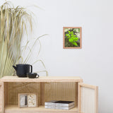 Climbing The Tree Botanical Nature Photo Framed Wall Art Print