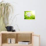 Beauty of the Forest Floor Floral Nature Photo Framed Wall Art Print