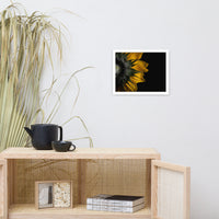 Backside of Sunflower Minimal Floral Nature Photo Framed Wall Art Print