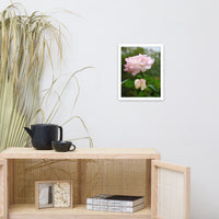 Admiration - Pink Rose Floral Nature Photo Framed Wall Art Print