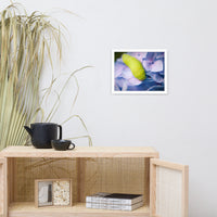 Actias Luna Larvae on Hydrangea Floral Nature Photo Framed Wall Art Print
