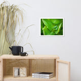 Cupped Droplet Botanical Nature Photo Framed Wall Art Print