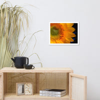 Close-up Sunflower Floral Nature Photo Framed Wall Art Print
