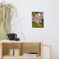 Close-up Hosta Bloom Floral Nature Photo Framed Wall Art Print