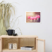 Be Still My Bleeding Heart Warm Summer Glow Floral Nature Photo Framed Wall Art Print