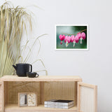 Be Still My Bleeding Heart Floral Nature Photo Framed Wall Art Print