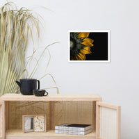 Backside of Sunflower Minimal Floral Nature Photo Framed Wall Art Print