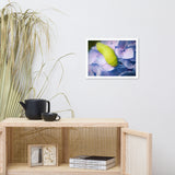 Actias Luna Larvae on Hydrangea Floral Nature Photo Framed Wall Art Print