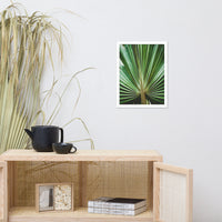 Aged and Colorized Wide Palm Leaves 2 Tropical Nature Photo Wall Art Print