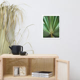 Aged and Colorized Wide Palm Leaves 2 Tropical Nature Photo Wall Art Print