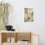 Calm Passions Floral Nature Photo Framed Wall Art Print