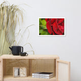 Bold and Beautiful Floral Nature Photo Framed Wall Art Print