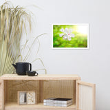 Beauty of the Forest Floor Floral Nature Photo Framed Wall Art Print