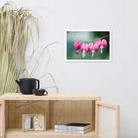 Be Still My Bleeding Heart Floral Nature Photo Framed Wall Art Print