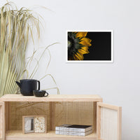 Backside of Sunflower Minimal Floral Nature Photo Framed Wall Art Print