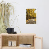 Fall Path Nature Landscape Framed Photo Paper Wall Art Prints