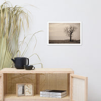 Lonely Tree in Black and White Rural Landscape Framed Photo Paper Wall Art Prints