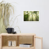 Sun Rays Through Treetops in the Forest Framed Photo Paper Wall Art Prints
