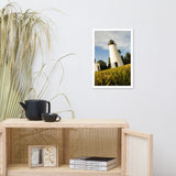Turkey Point Lighthouse Coastal Landscape Framed Photo Paper Wall Art Prints