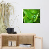 Cupped Droplet Botanical Nature Photo Framed Wall Art Print