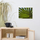 Colorized Wide Palm Leaves Botanical Nature Photo Framed Wall Art Print