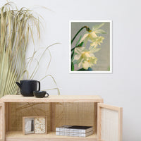 Colorized Daffodils Floral Nature Photo Framed Wall Art Print