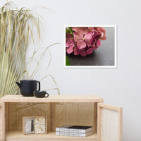 Close-Up Hydrangea on Slate Floral Nature Photo Framed Wall Art Print