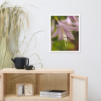 Close-up Hosta Bloom Floral Nature Photo Framed Wall Art Print