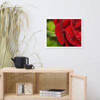 Bold and Beautiful Floral Nature Photo Framed Wall Art Print