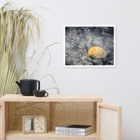 Black Sands and Seashell on the Shore Coastal Nature Photo Framed Wall Art Print