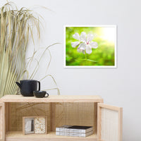 Beauty of the Forest Floor Floral Nature Photo Framed Wall Art Print