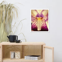 Antiqued Iris Floral Nature Photo Framed Wall Art Print