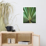 Aged and Colorized Wide Palm Leaves 2 Tropical Nature Photo Wall Art Print