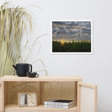 Rows of Corn Rural Landscape Framed Photo Paper Wall Art Prints