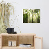 Sun Rays Through Treetops in the Forest Framed Photo Paper Wall Art Prints