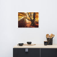 Old Magical Tree in Forest with Glory Rays Framed Wall Art Print