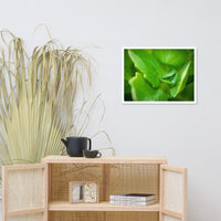 Cupped Droplet Botanical Nature Photo Framed Wall Art Print
