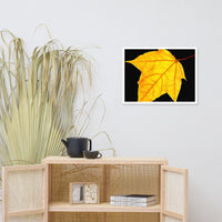 Brilliant Yellow Botanical Nature Photo Framed Wall Art Print