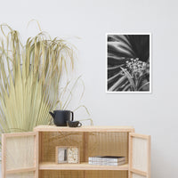 Bloodflowers and Palm Black and White Framed Wall Art Print