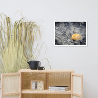 Black Sands and Seashell on the Shore Coastal Nature Photo Framed Wall Art Print